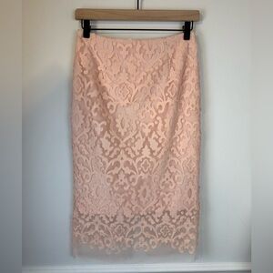 KATHERINE KELLY Blush Pink Appliqué Illusion Pencil Skirt | Size 2